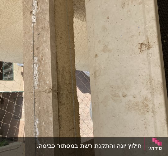 רשת מתוחה בין עמודים למניעת כניסת יונים